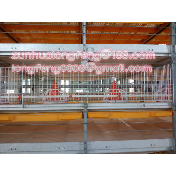 Automatic Poultry Cage for Broiler